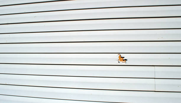 Affordable siding repair and maintenance services in Riverbank, CA